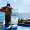 lesvos diplomat travel